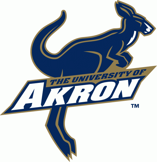Akron Zips 2002-Pres Primary Logo iron on transfers for clothing